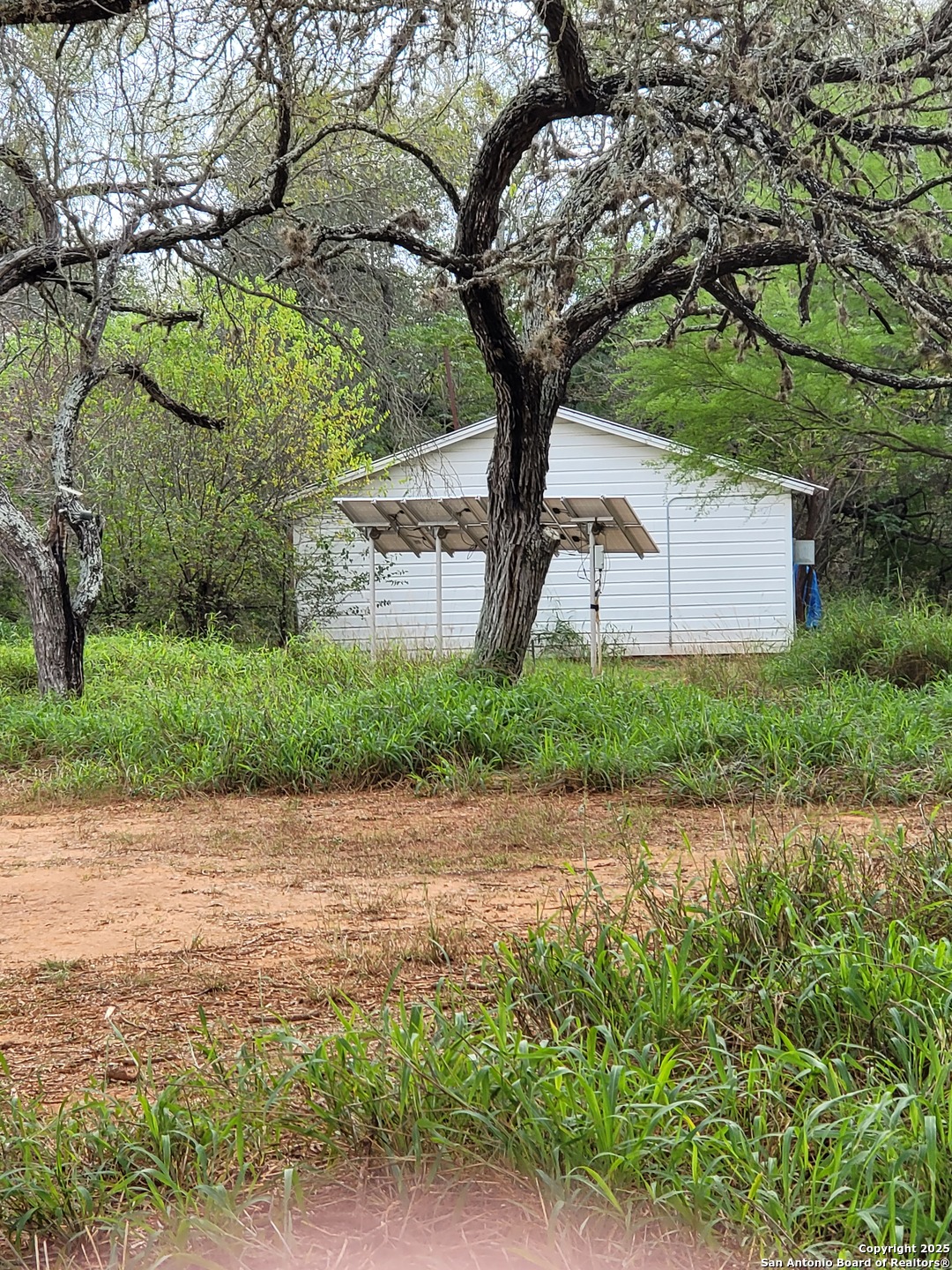 11489 South Foster Road San Antonio, TX 78223 - Photo 2 of 7 a small garden covered with tall trees