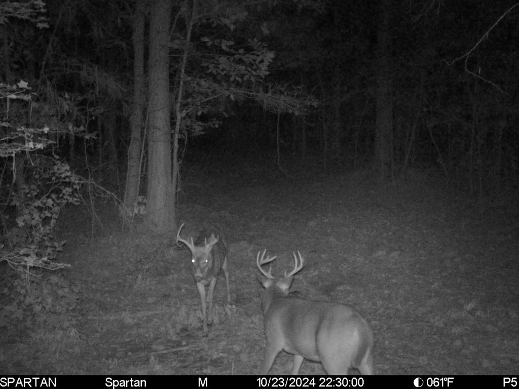 0 Upper Mill Road McCormick, SC 29835 - Photo 9 of 18 Gallery Image 9