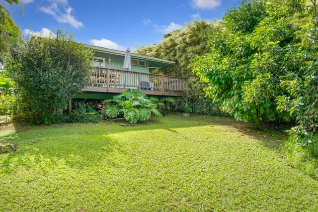 a view of a backyard with plants and large trees