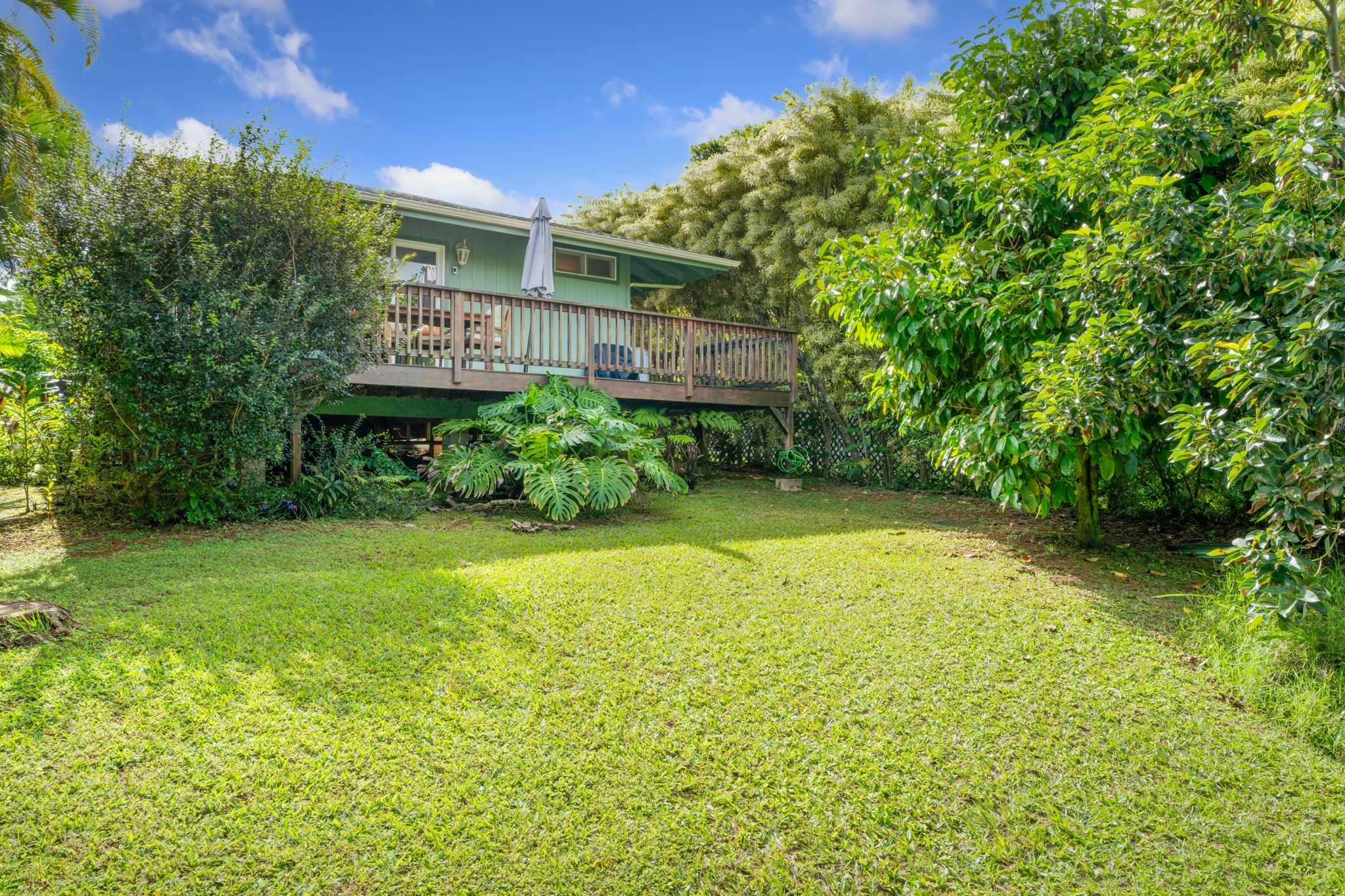 6250 Olohena Road, Unit 2 Kapaa, HI 96746 - Photo 23 of 29 a view of a backyard with plants and large trees