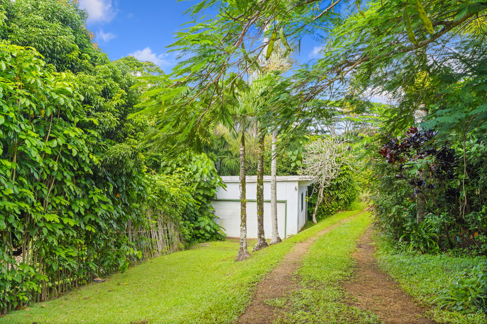 6250 Olohena Road, Unit 2 Kapaa, HI 96746 - Photo 25 of 29 a view of yard with green space