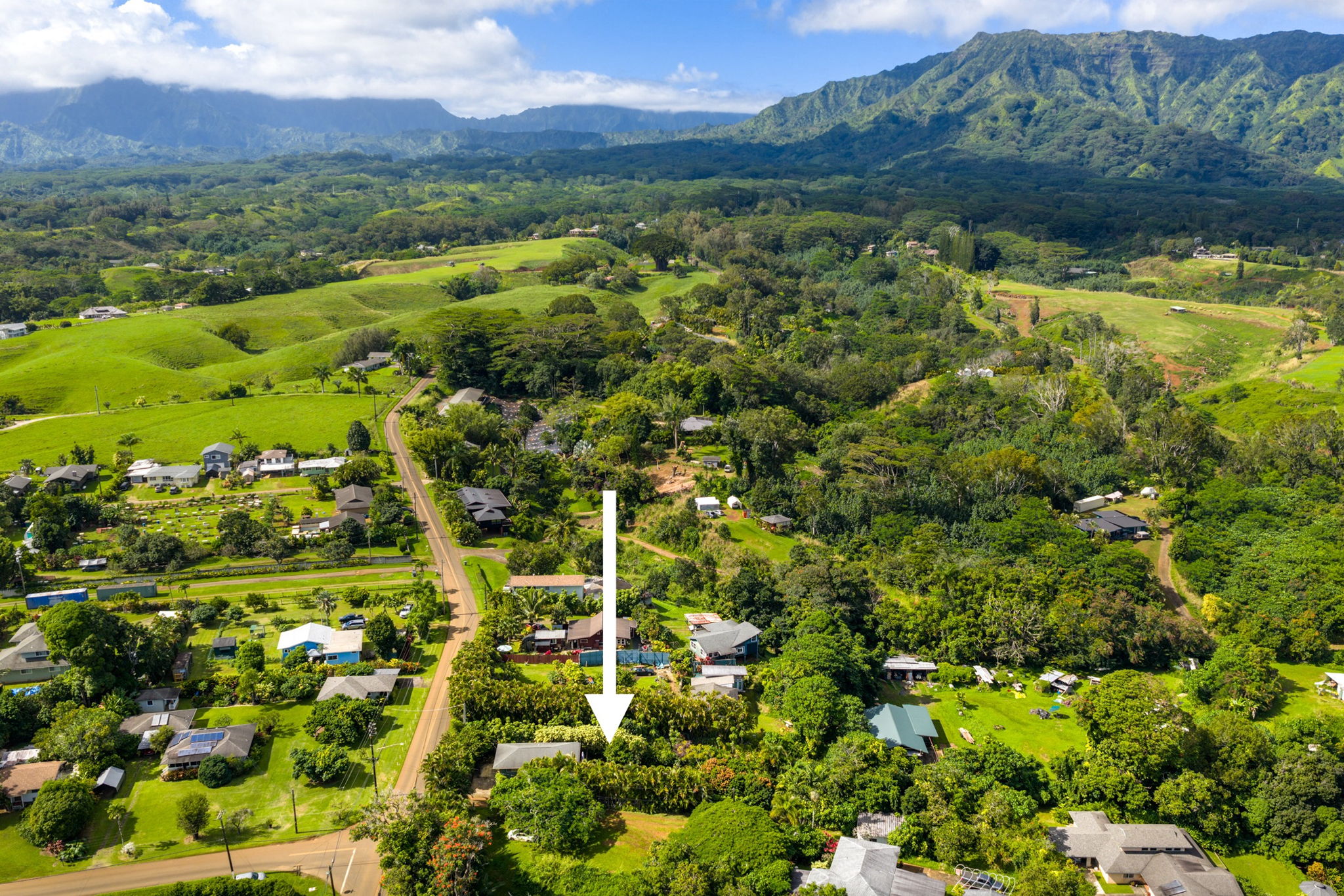 6250 Olohena Road, Unit 2 Kapaa, HI 96746 - Photo 28 of 29 a view of a lush green hillside and houses