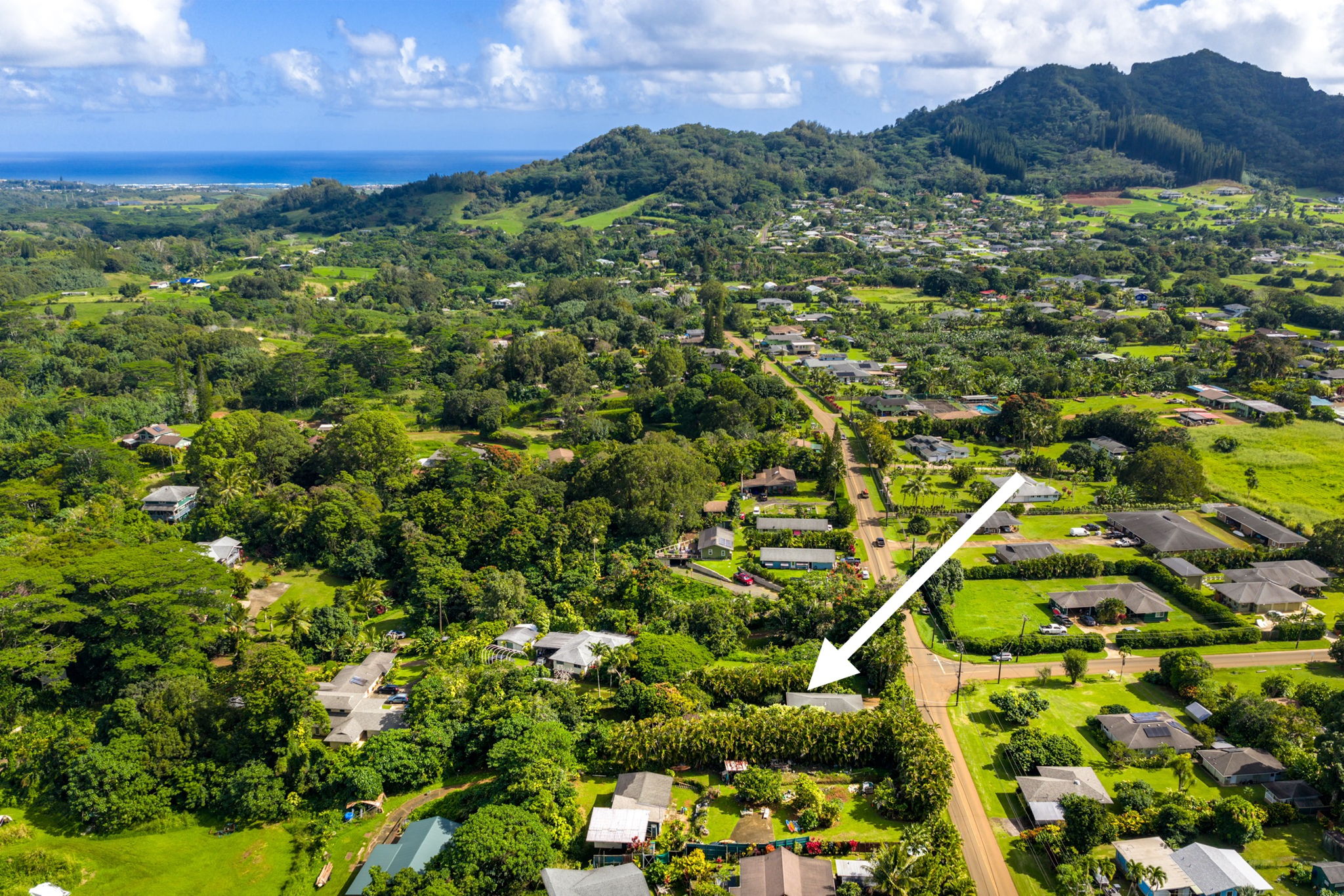 6250 Olohena Road, Unit 2 Kapaa, HI 96746 - Photo 29 of 29 a view of a houses with a lush green hillside