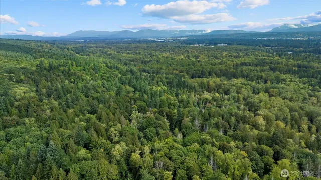 a view of a green field with lots of bushes