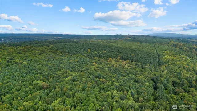 a view of a green field with lots of green space