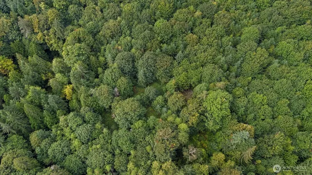 an outdoor view of a house with a tree