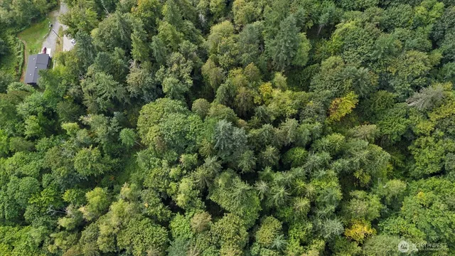 an aerial view of residential house with outdoor space and trees all around