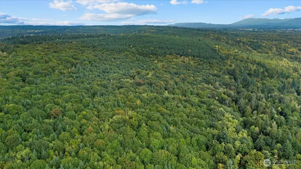 a view of lake with mountain