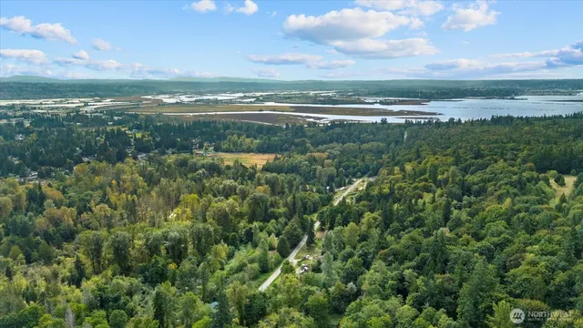 a view of a city with lush green forest