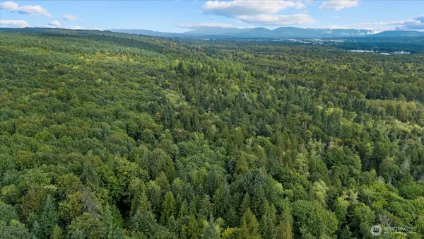 a view of a lush green forest with trees and houses