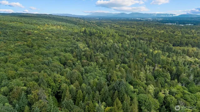 a view of a lush green forest with trees and houses