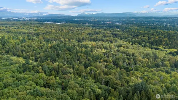 a view of a lush green hillside and a houses