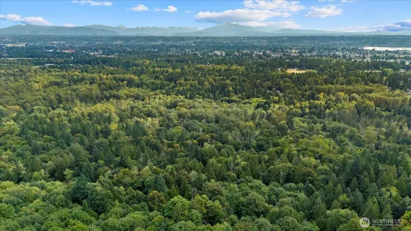 an aerial view of residential houses with outdoor and green space