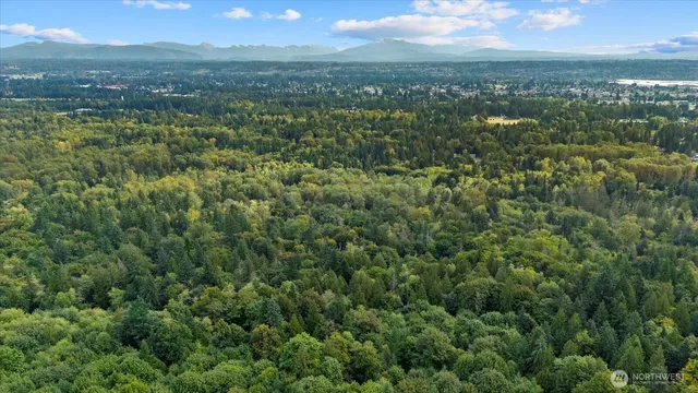 an aerial view of residential houses with outdoor and green space