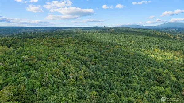 a view of an outdoor space and a yard