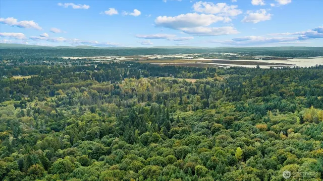 a view of an ocean and beach