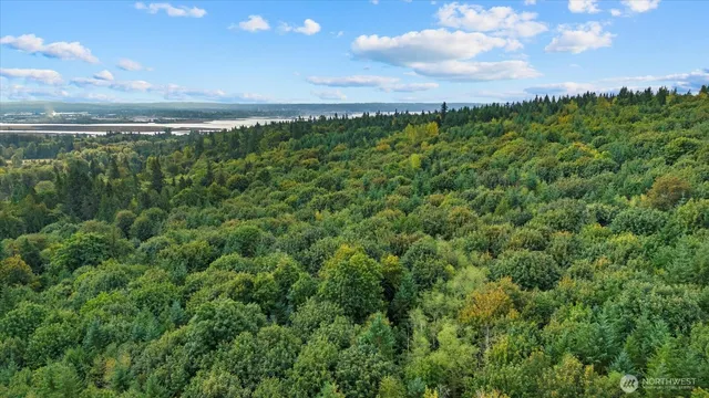 a view of a green field with lots of bushes