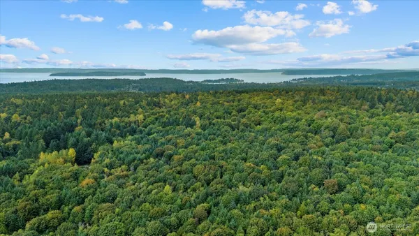 a view of a green field with lots of green space