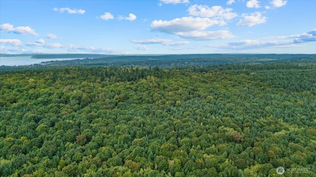 a view of a green field with lots of bushes
