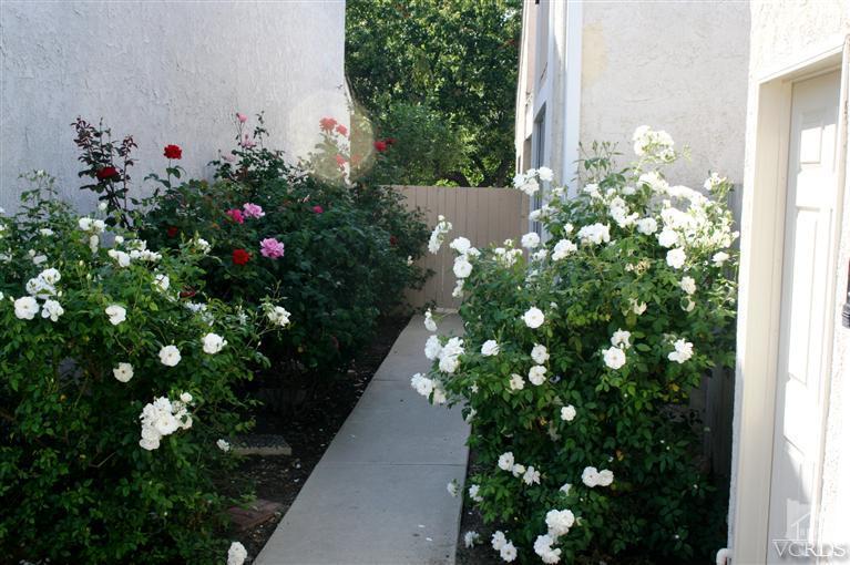 5689 Cochran Street Simi Valley, CA 93063 - Photo 1 of 13 a flower view in a flower pot