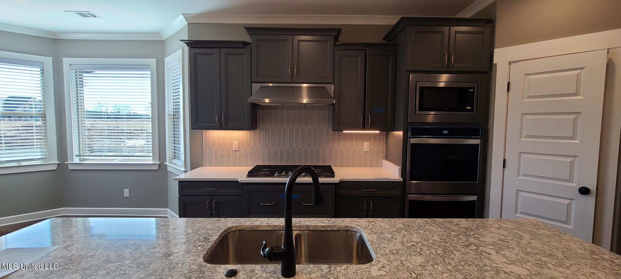 392 Natchez Loop Hernando, MS 38632 - Photo 6 of 11 Kitchen