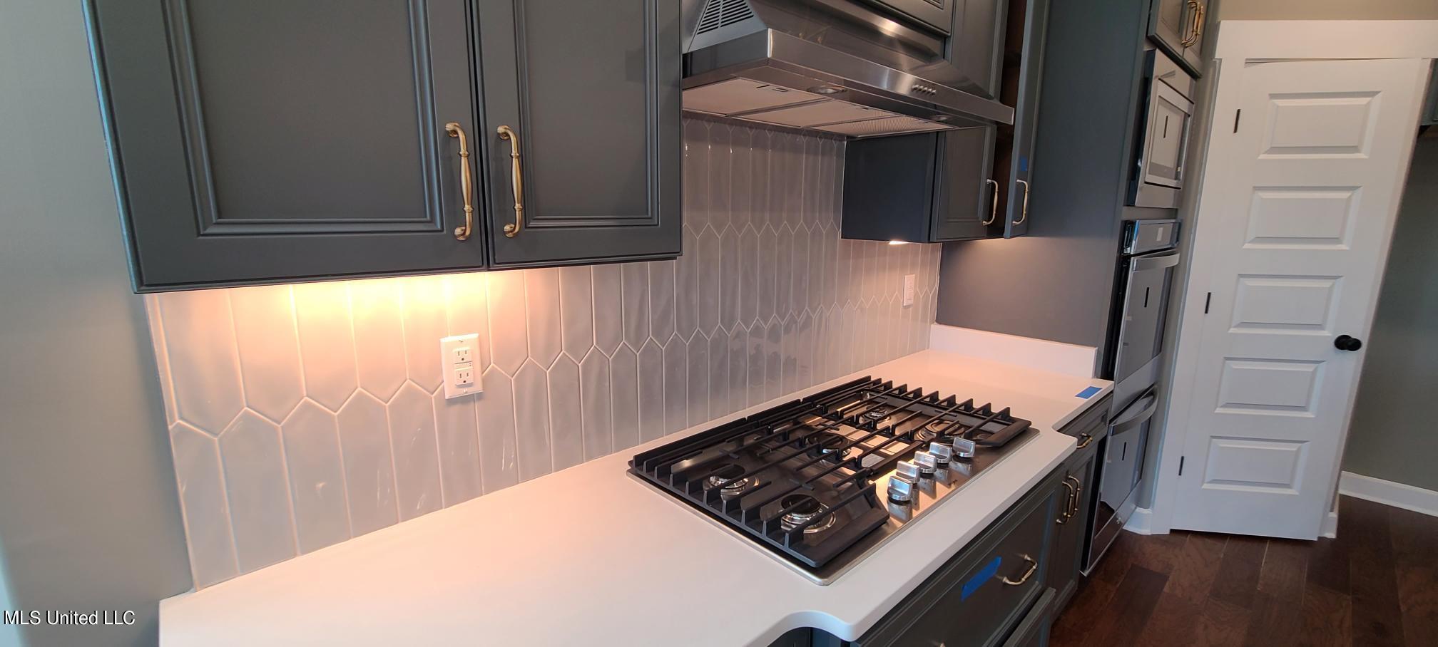 392 Natchez Loop Hernando, MS 38632 - Photo 7 of 11 Quartz Counters