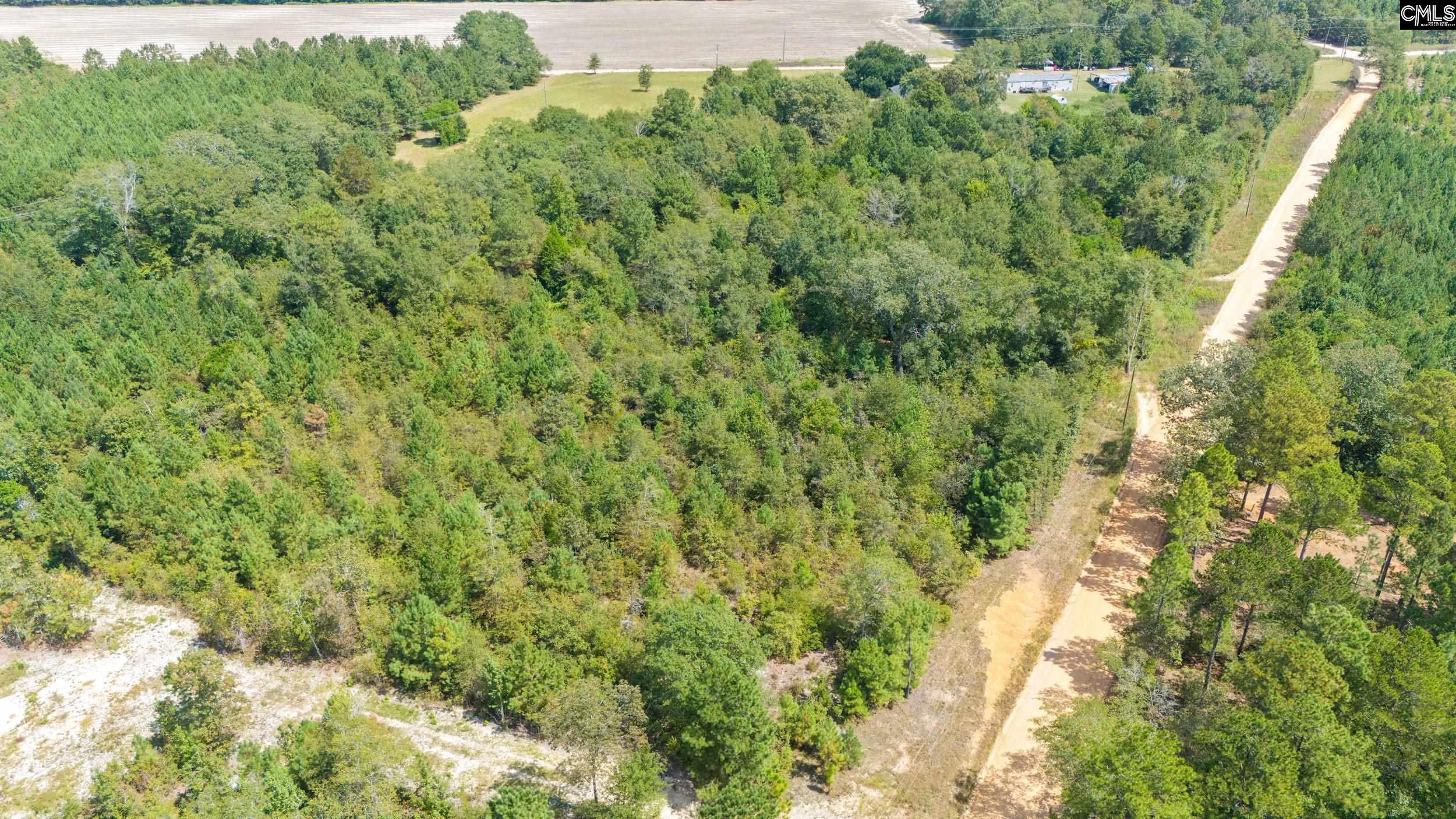 Tbd Bachman Dykes Road Swansea, SC 29160 - Photo 8 of 9