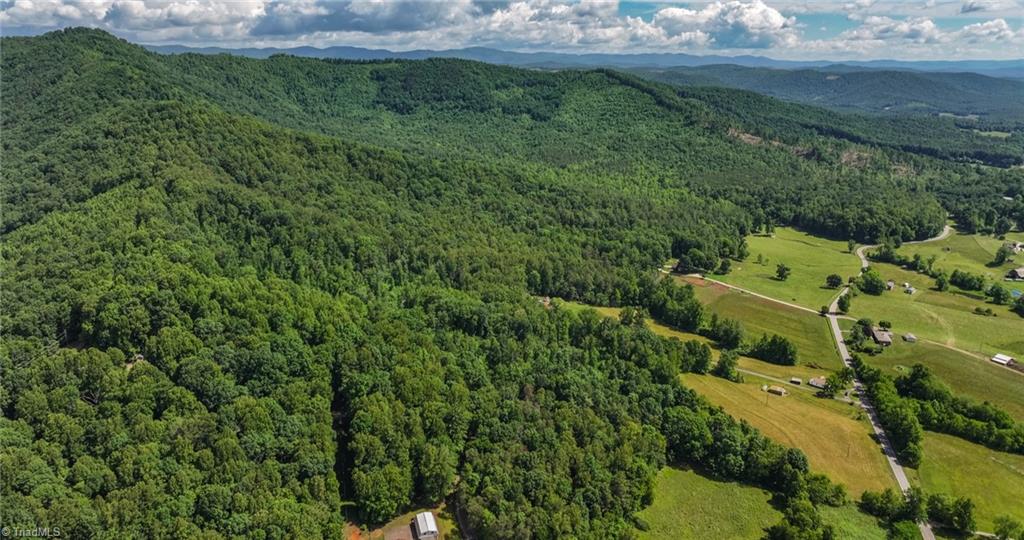 Tbd Shingle Gap Road Purlear, NC 28665 - Photo 17 of 20