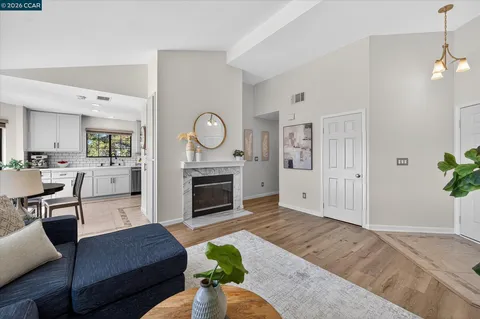 a living room with furniture a fireplace and a potted plant