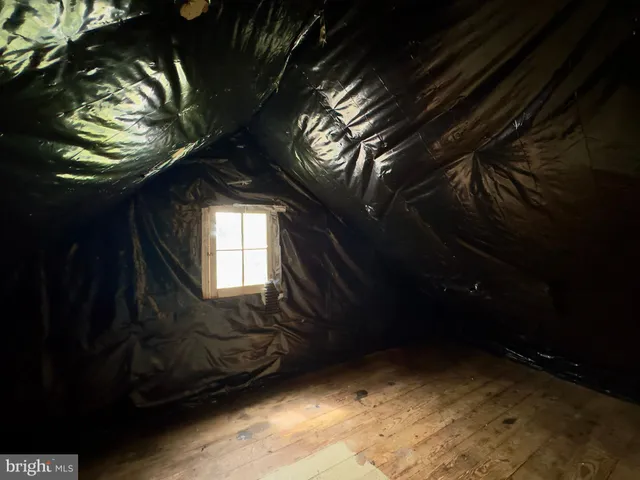 a view of back yard from window