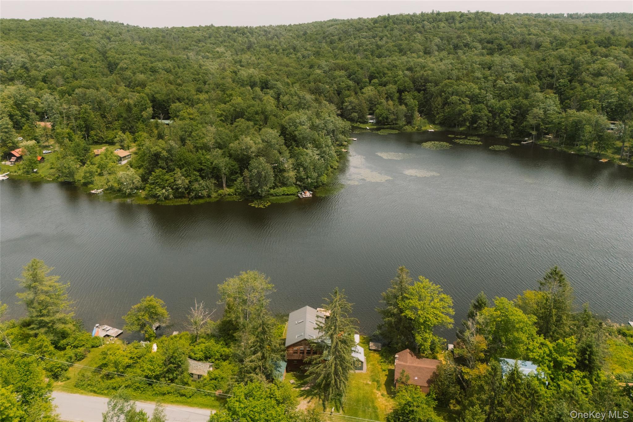 212 Trout Brook Road Roscoe, NY 12776 - Photo 3 of 25
