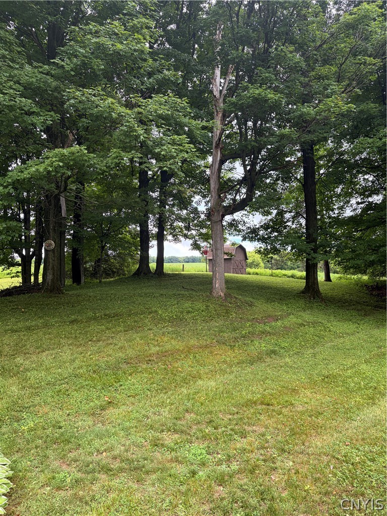 6768 Forbes Road Lincoln, NY 13032 - Photo 7 of 17