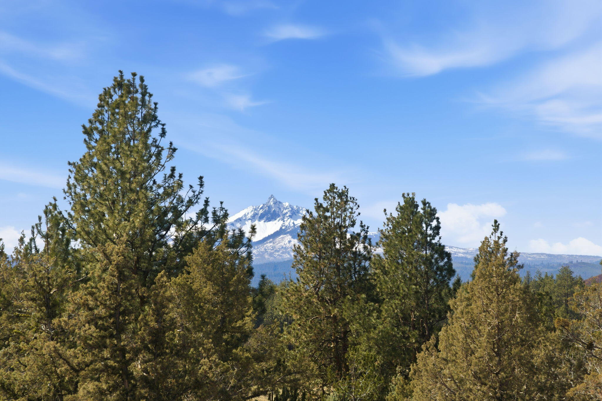 70070 Meadow View Road Sisters, OR 97759 - Photo 11 of 13