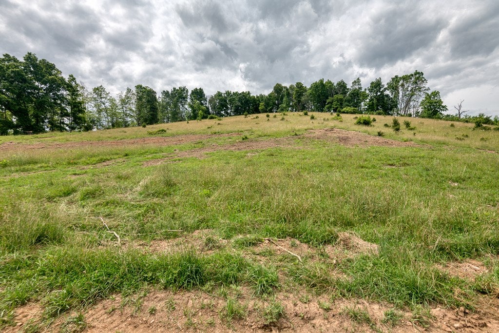 Tbd Cross Roads, Unit 1 Lebanon, VA 24266 - Photo 8 of 22 Gallery Image 8