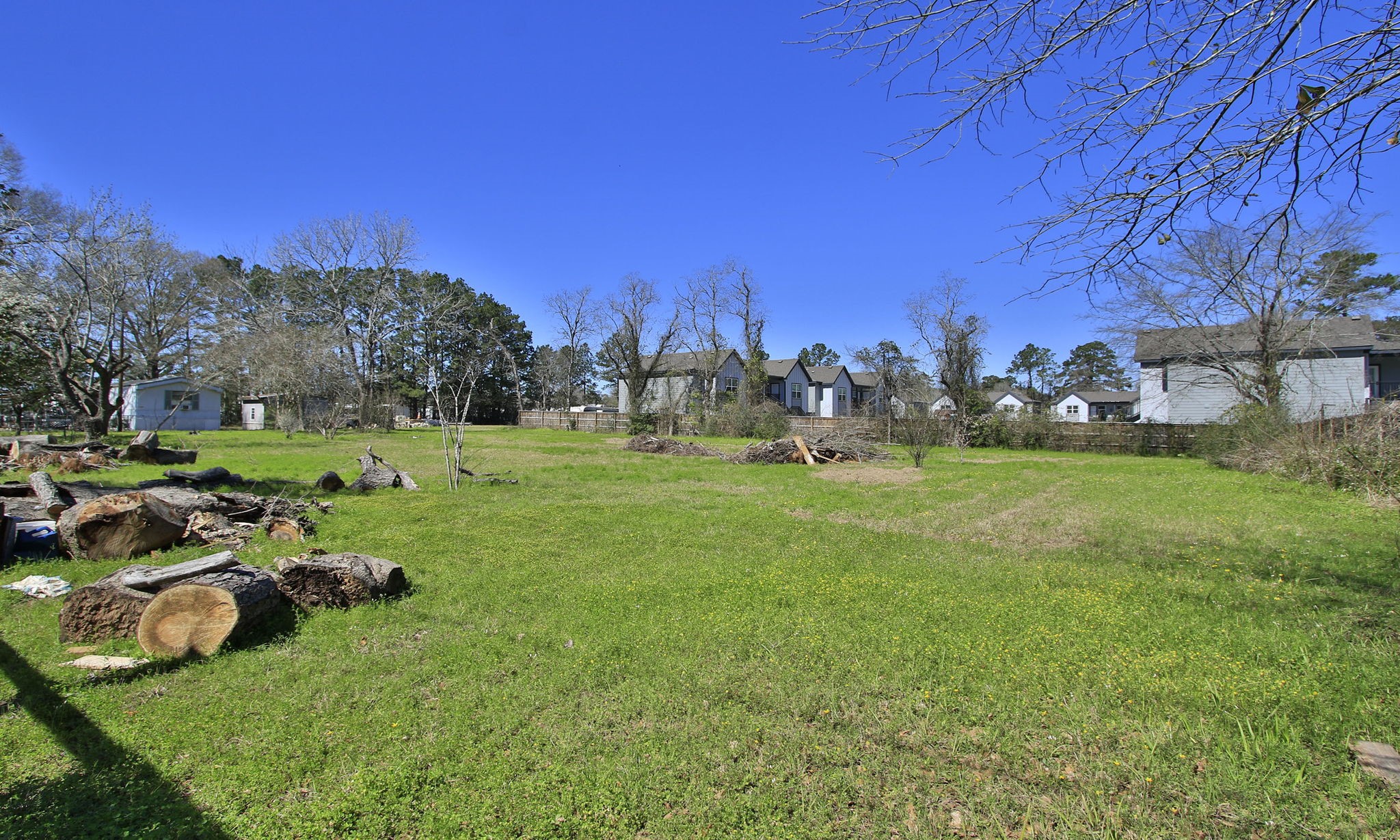 1929 Argo Road Conroe, TX 77301 - Photo 2 of 24 a view of a park with large trees
