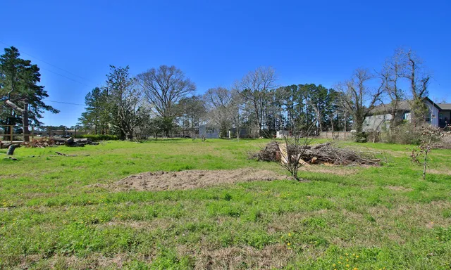 a view of a park with large trees