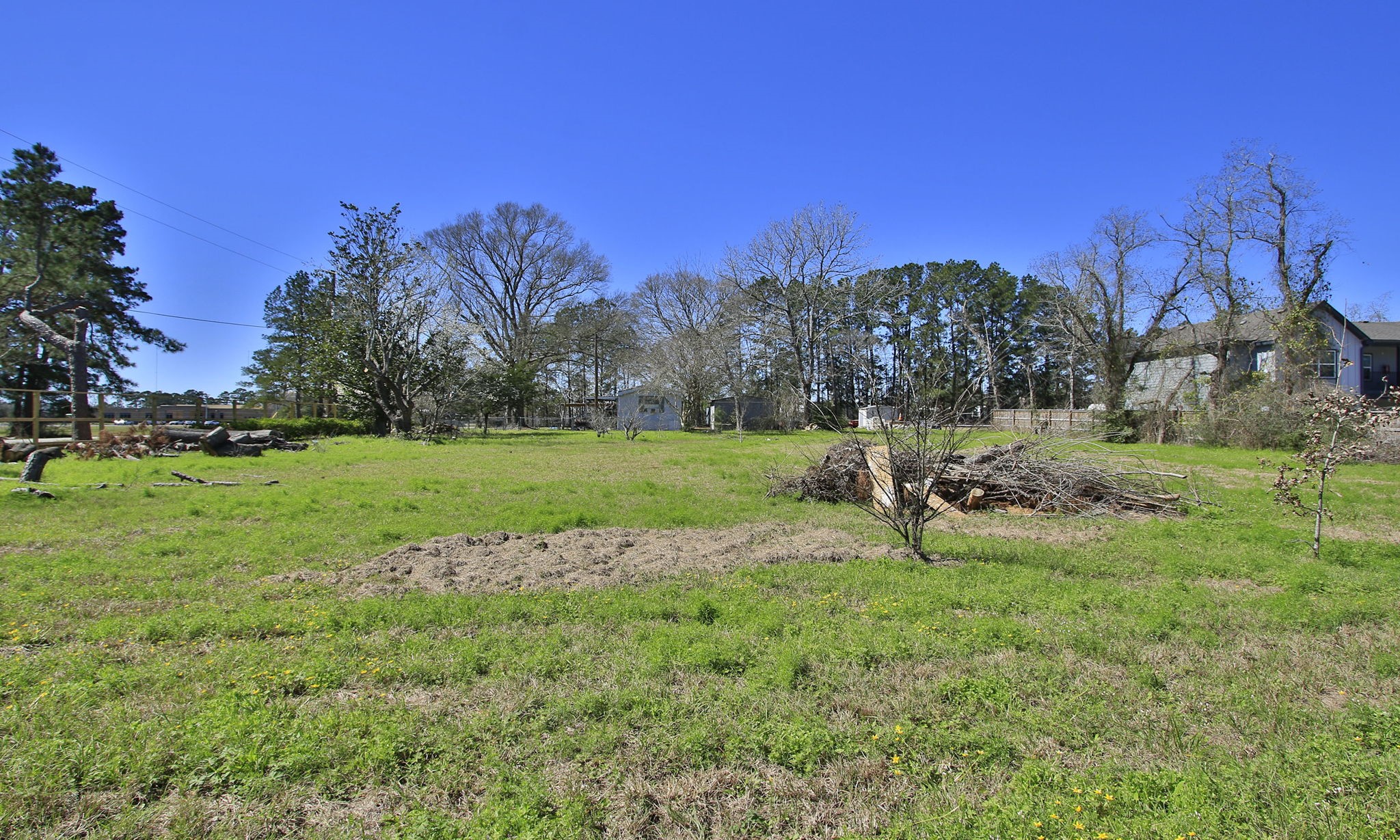1929 Argo Road Conroe, TX 77301 - Photo 3 of 24 a view of a park with large trees