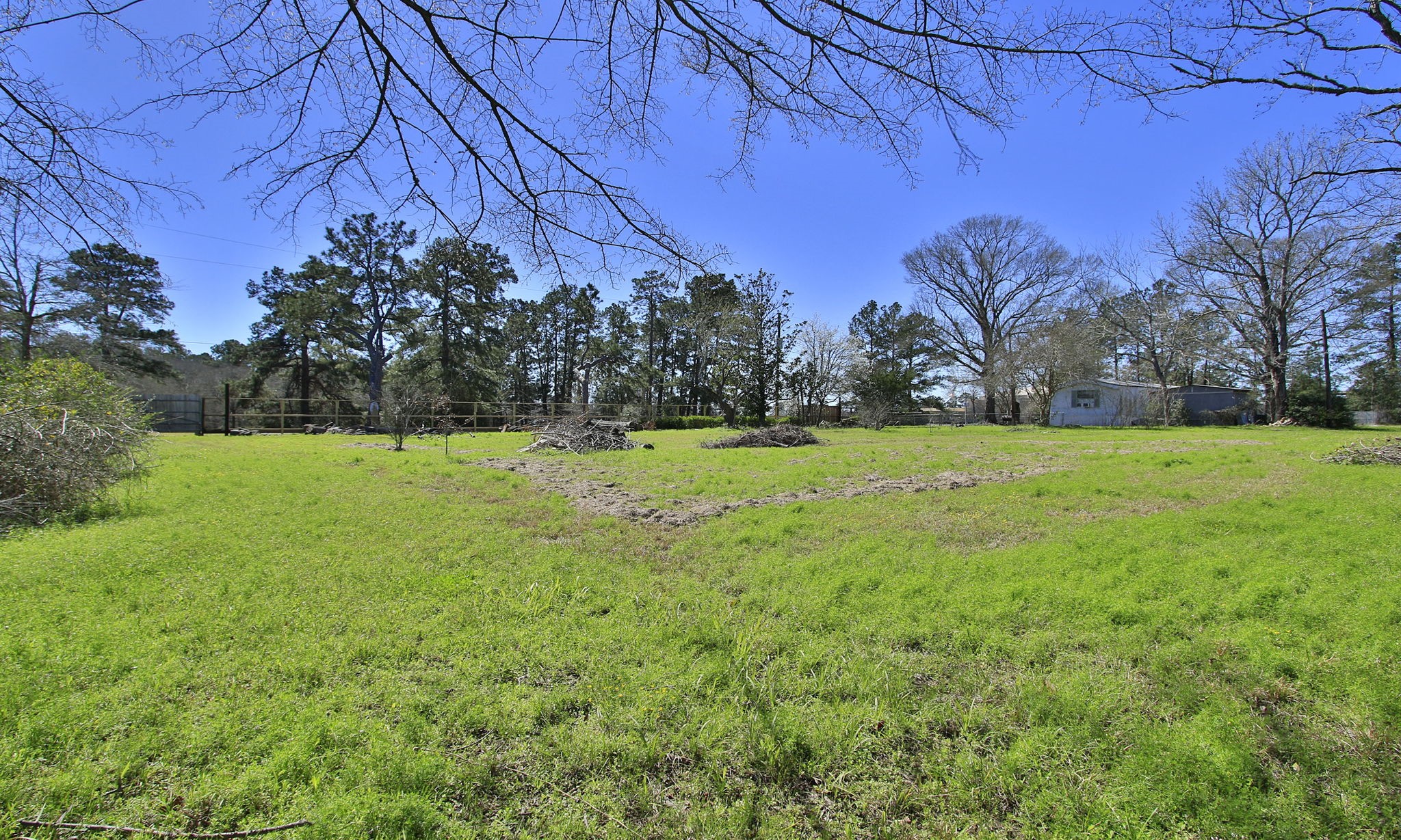 1929 Argo Road Conroe, TX 77301 - Photo 4 of 24 a view of green field with trees in the background