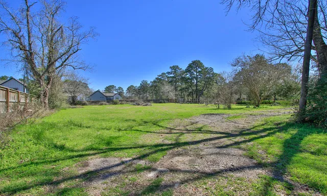 a view of a field with tree s