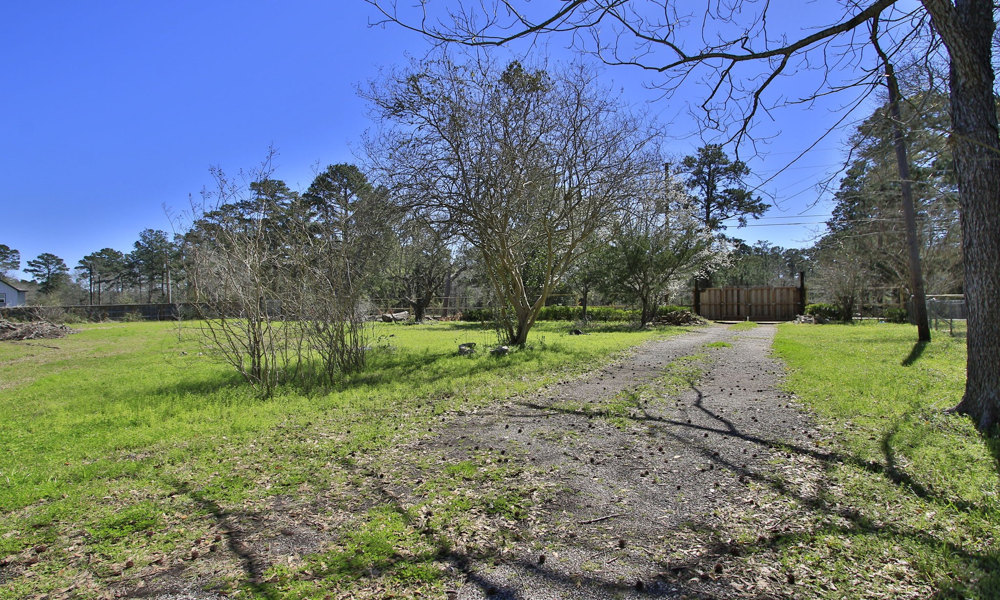 1929 Argo Road Conroe, TX 77301 - Photo 9 of 24 a view of a park with large trees