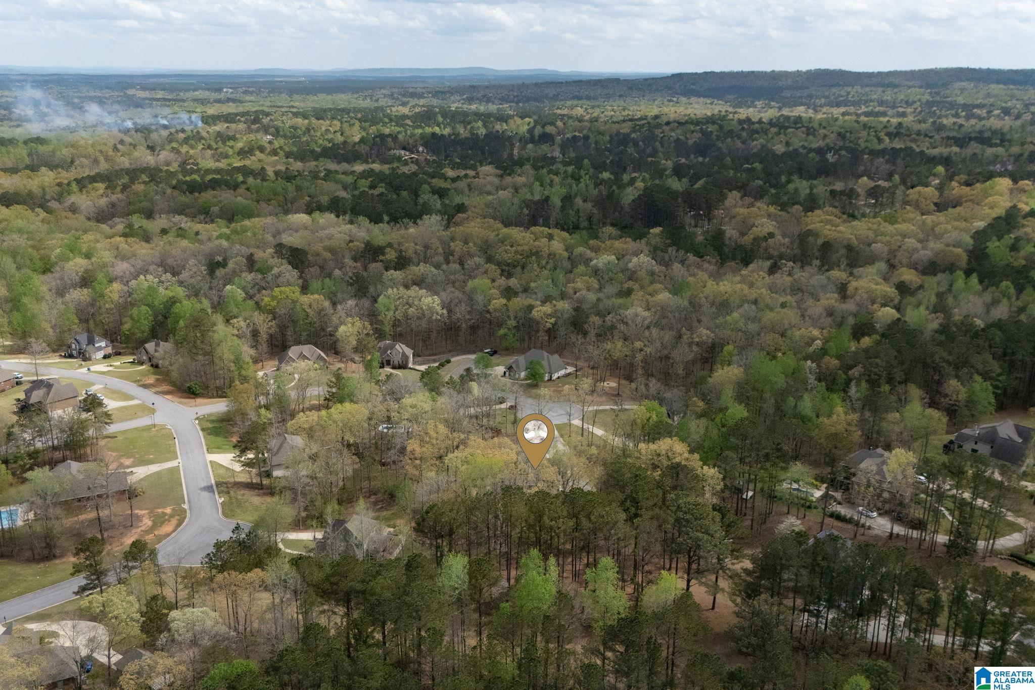 441 South Highland Ridge Lane Chelsea, AL 35043 - Photo 68 of 74