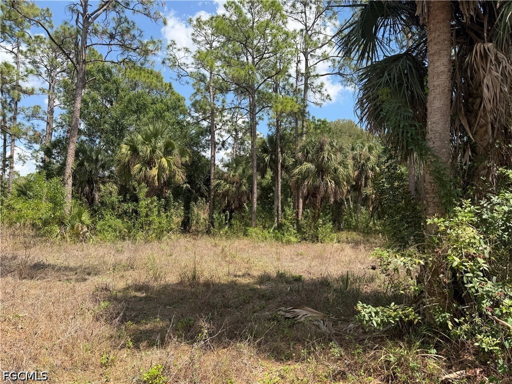 8261 Scarecrow Road North Fort Myers, FL 33917 - Photo 1 of 10