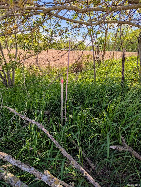 Parcel D - Hogan Road Linden, MI 48451 - Photo 18 of 19