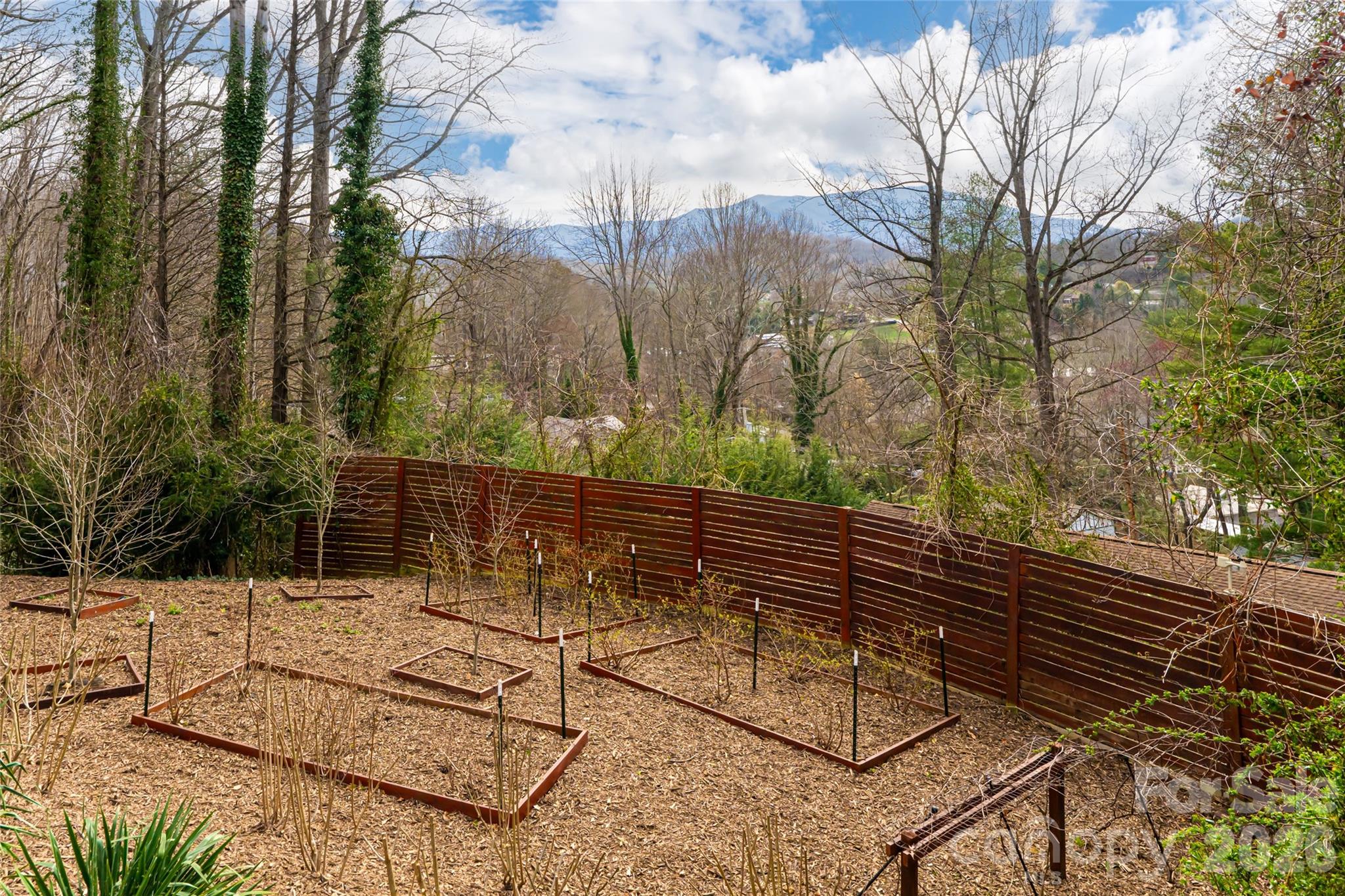 147 Preservation Way Waynesville, NC 28786 - Photo 40 of 48 a view of outdoor space and yard