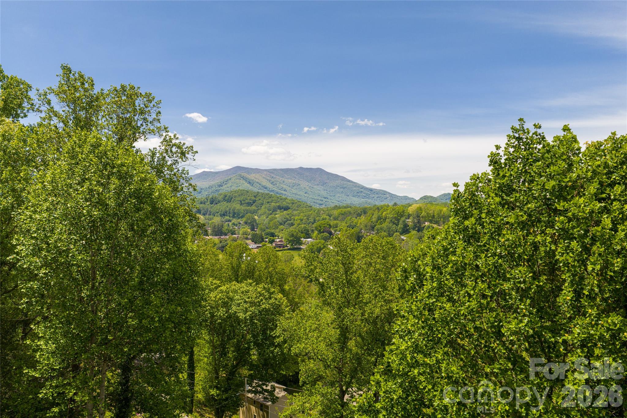147 Preservation Way Waynesville, NC 28786 - Photo 43 of 48 a view of a lush green forest with lots of trees