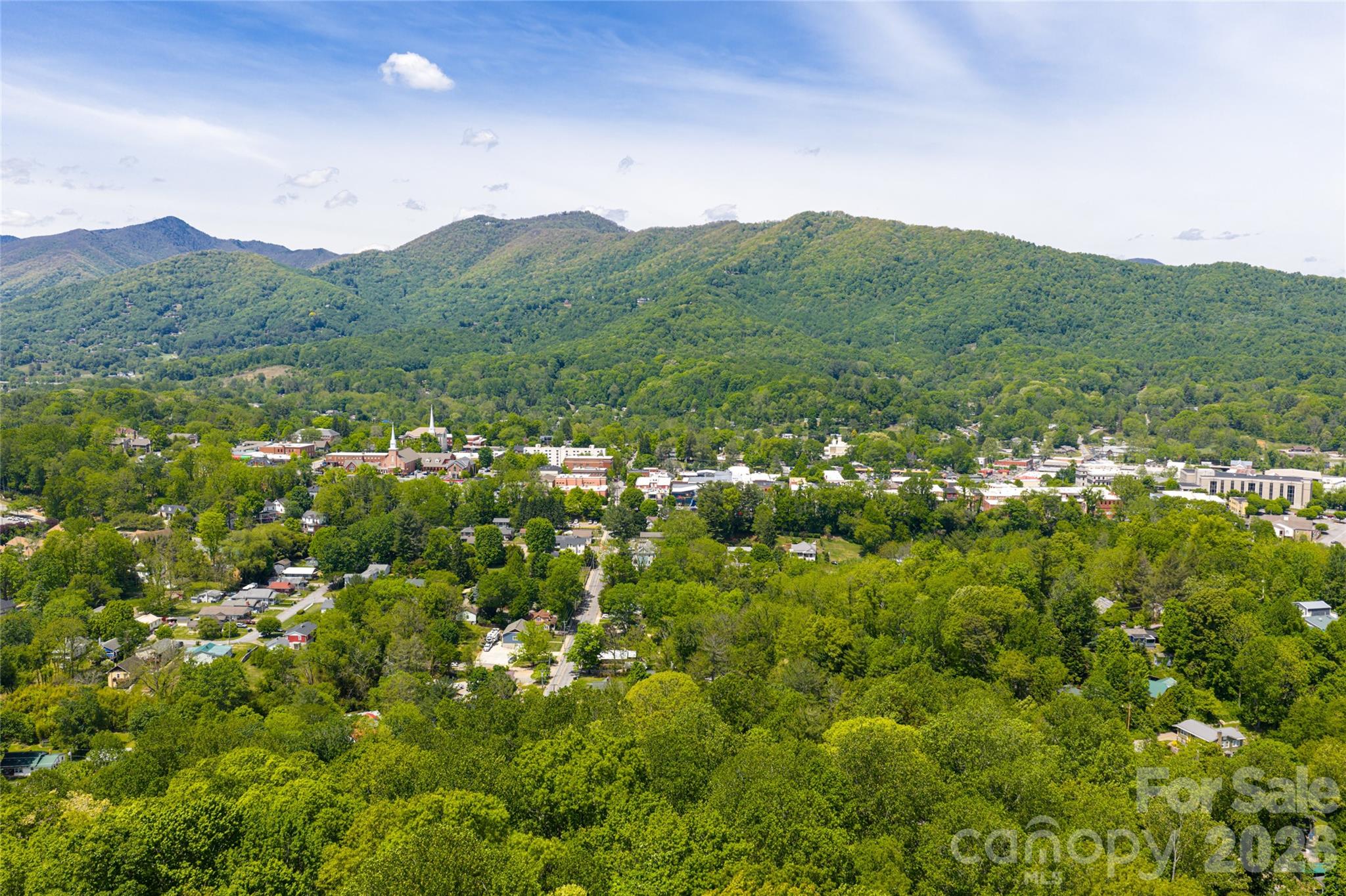 147 Preservation Way Waynesville, NC 28786 - Photo 45 of 48 a view of a lush green field with mountains in the background