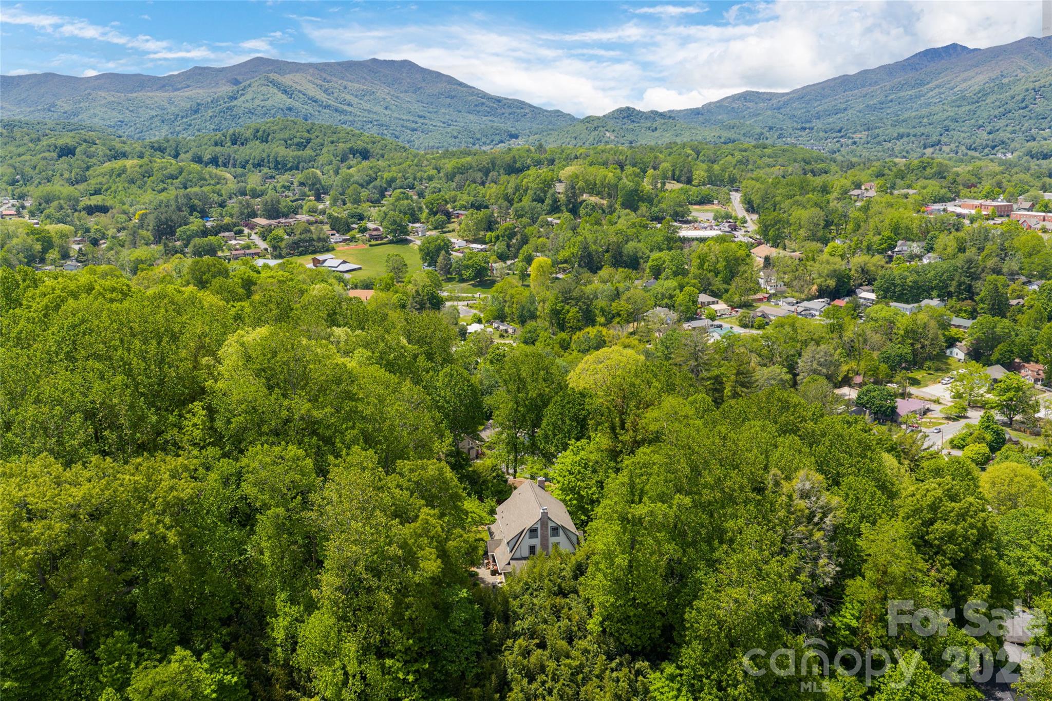 147 Preservation Way Waynesville, NC 28786 - Photo 46 of 48