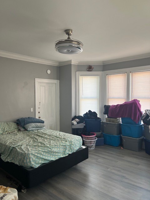16 Carson Street Pawtucket, RI 02860 - Photo 14 of 18
