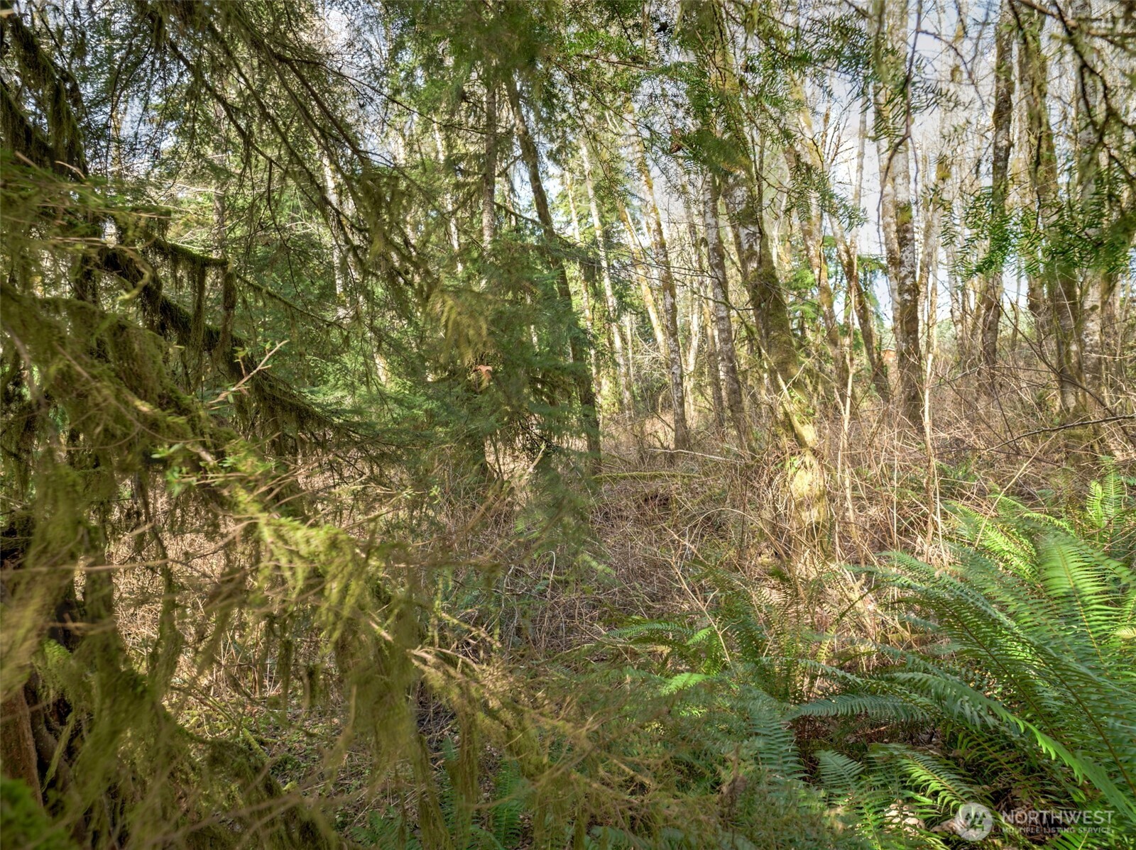 0 West Belfair Valley Road Bremerton, WA 98312 - Photo 3 of 12 Gallery Image 3