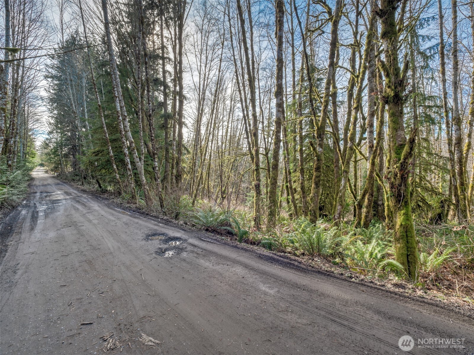 0 West Belfair Valley Road Bremerton, WA 98312 - Photo 8 of 12 Gallery Image 8